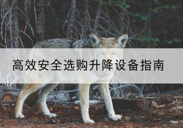山阴升降货梯厂家推荐-*安全选购升降设备指南