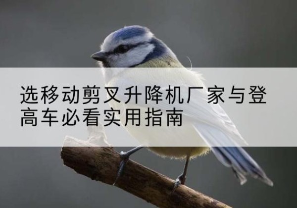 山阴电动升降机厂家-选移动剪叉升降机厂家与登高车必看实用指南